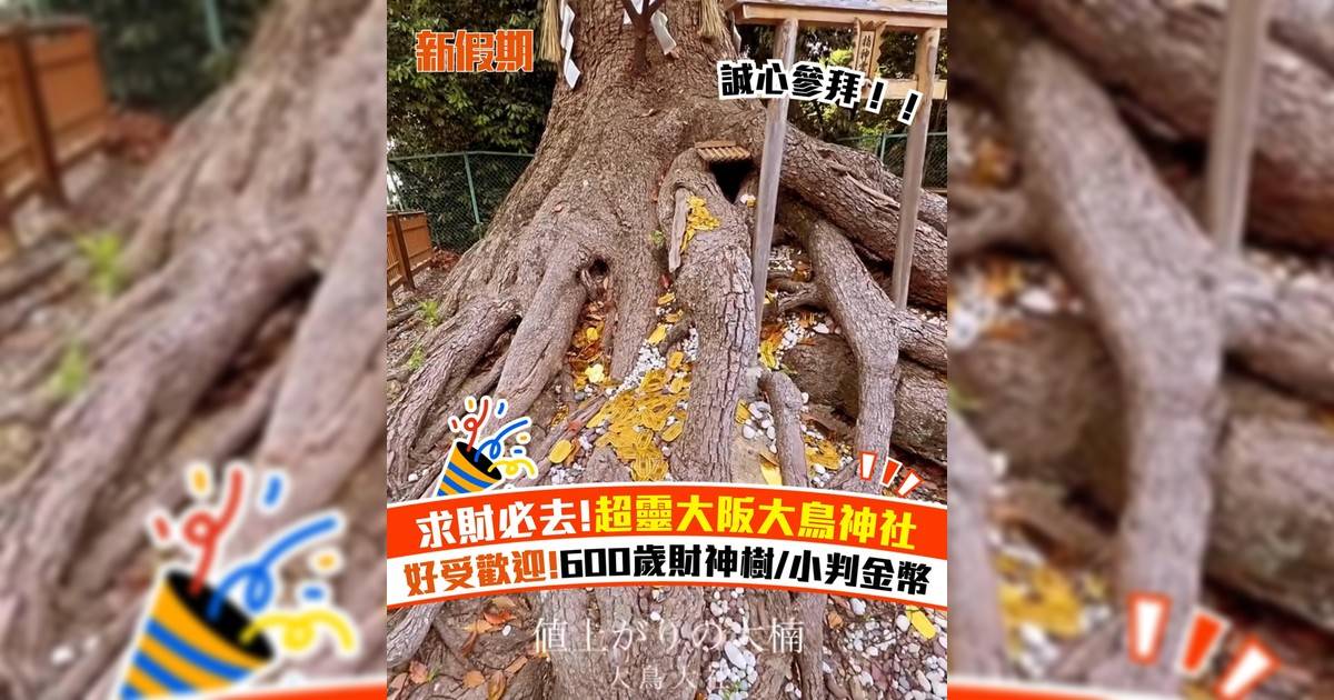求財必去!超靈大阪大鳥神社 好受歡迎!600歲財神樹/小判金幣