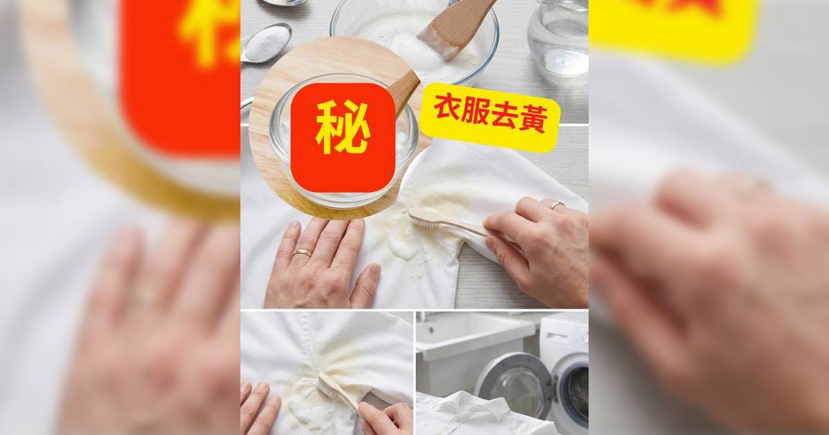 衣服去漬｜告別衣領發黃！日本網民實測「去黃配方」有效嗎？附5大白衫保養及荷葉領急救全攻略