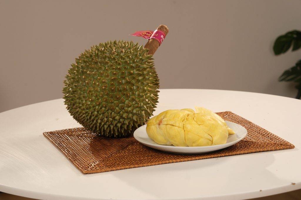 榴槤控必睇 長柄干腰榴槤(圖片來源:LC榴槤)
