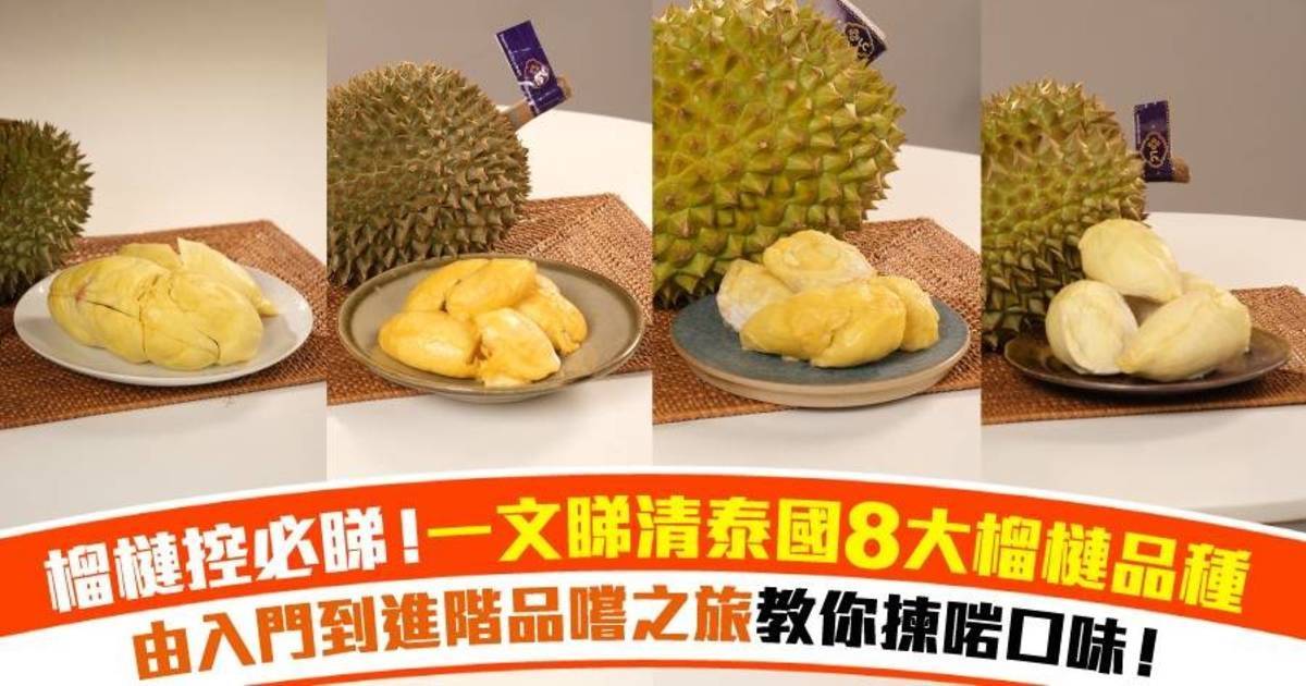 榴槤控必睇！由入門到進階品嚐之旅，教你揀啱口味