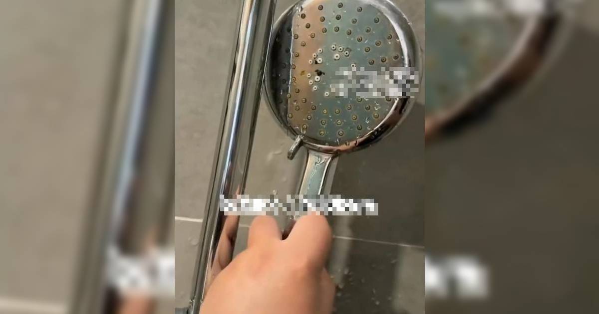 內地情侶住酒店 洗澡驚見花灑藏「黃色異物」 投訴索賠反遭質疑自導自演