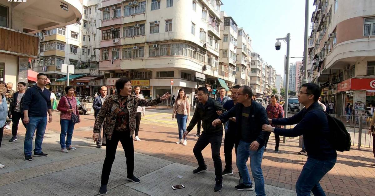 大埔女子當街高呼遭搶劫｜多人合力擒賊後警方揭發離譜真相