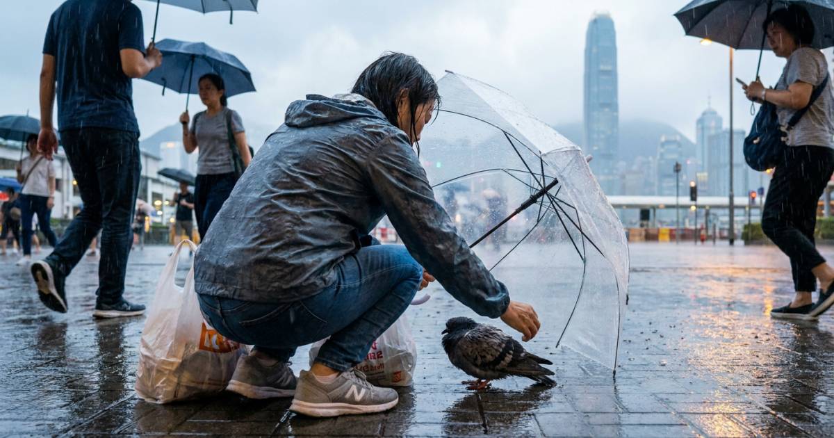 黑雨狂襲｜中環女子戶外張開身體！網民驚呼：準備報恩？