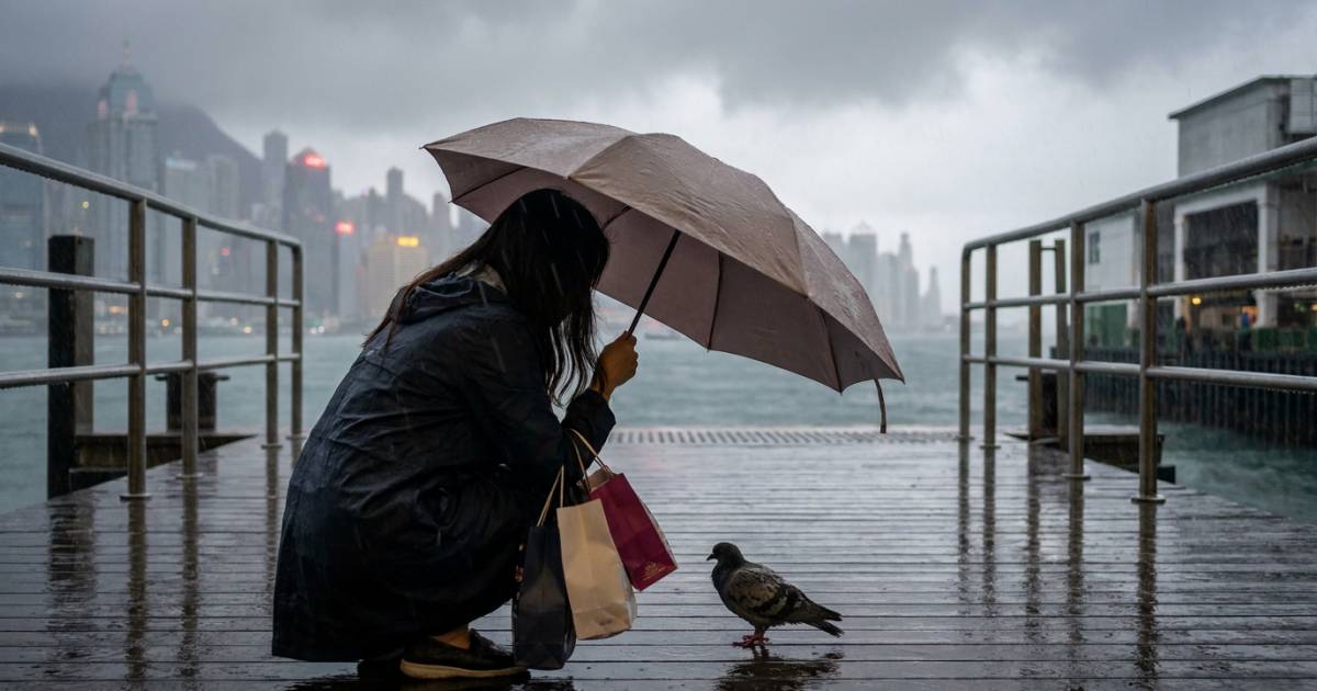 黑雨下女子衝出中環碼頭撐傘 背後原因令全城暖爆