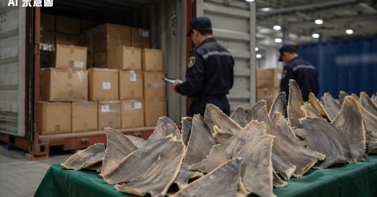 葵涌海關截兩貨櫃驚見50萬元貨物　揭開瀕危物種走私鏈