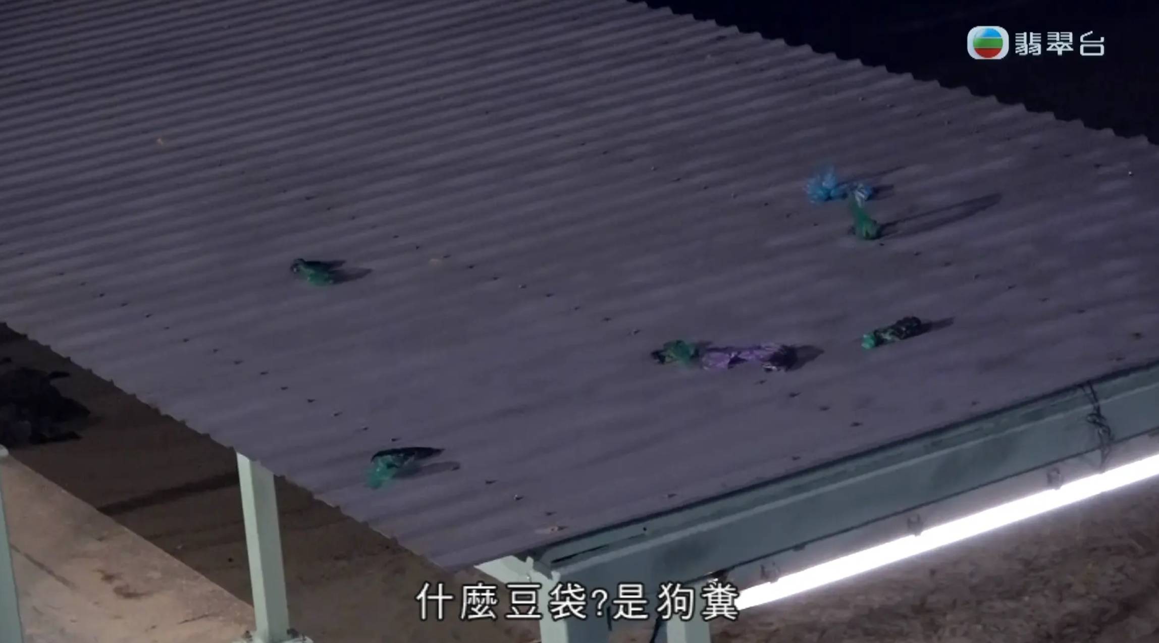 東張西望 深井特糞員 遠睇似豆袋,其實是狗糞!(圖片來源:TVB)