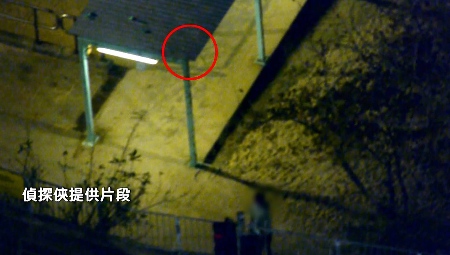 東張西望 深井特糞員 但是今晚比較特別,可能狗狗今天吃多了,排便了兩次,於是特糞員又嘗試高難度挑戰,確定沒有人注意到自己後,遠距離將狗糞拋過去頂蓋,不過還是跟上次一樣失手,惟有走過去把它撿執起,再近距離拋上去。(圖片來源:TVB)