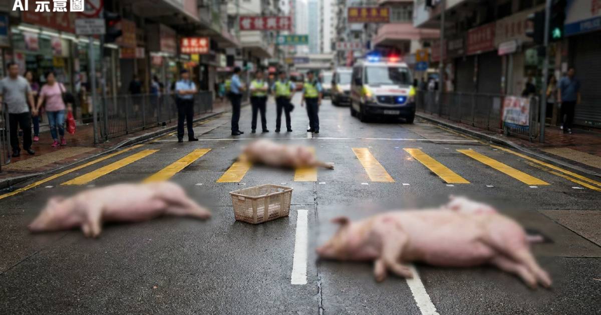 北角馬路驚現5件豬殼散落一地 警員到場後結局出乎意料