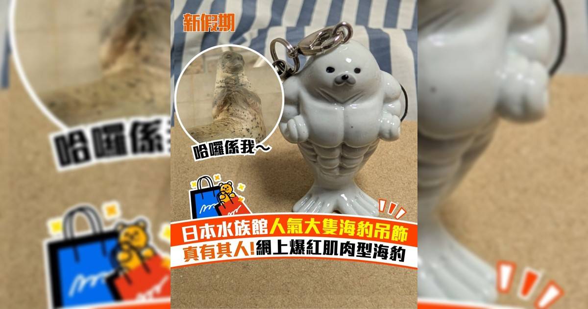日本水族館人氣大隻海豹吊飾 真有其人!網上爆紅肌肉型海豹