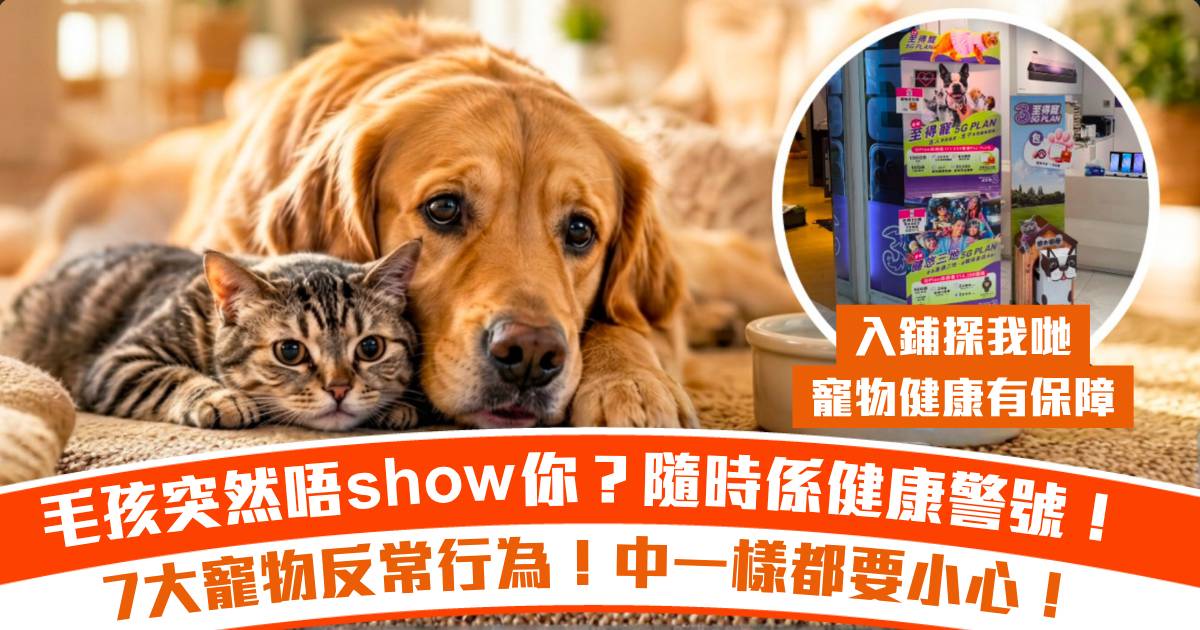 毛孩突然唔show你？隨時係健康警號！7大寵物反常行為中一樣都要小心！