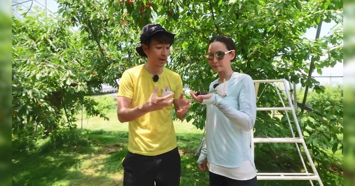 Amanda善食行｜ Soko赤腳行山擁抱大自然！與Amanda採摘山形車厘子