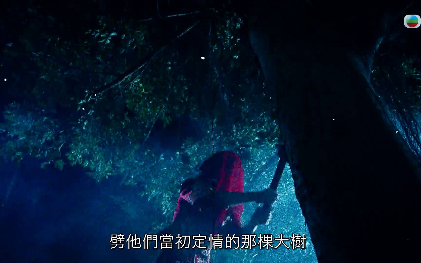 非份之罪 阮浩棕 (圖片來源:TVB)