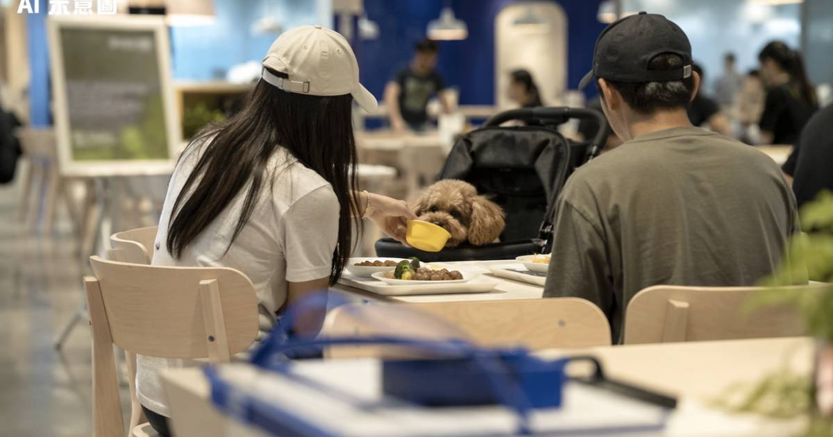 IKEA餐廳兒童碗慘變狗碗！男女無視規定全程被拍
