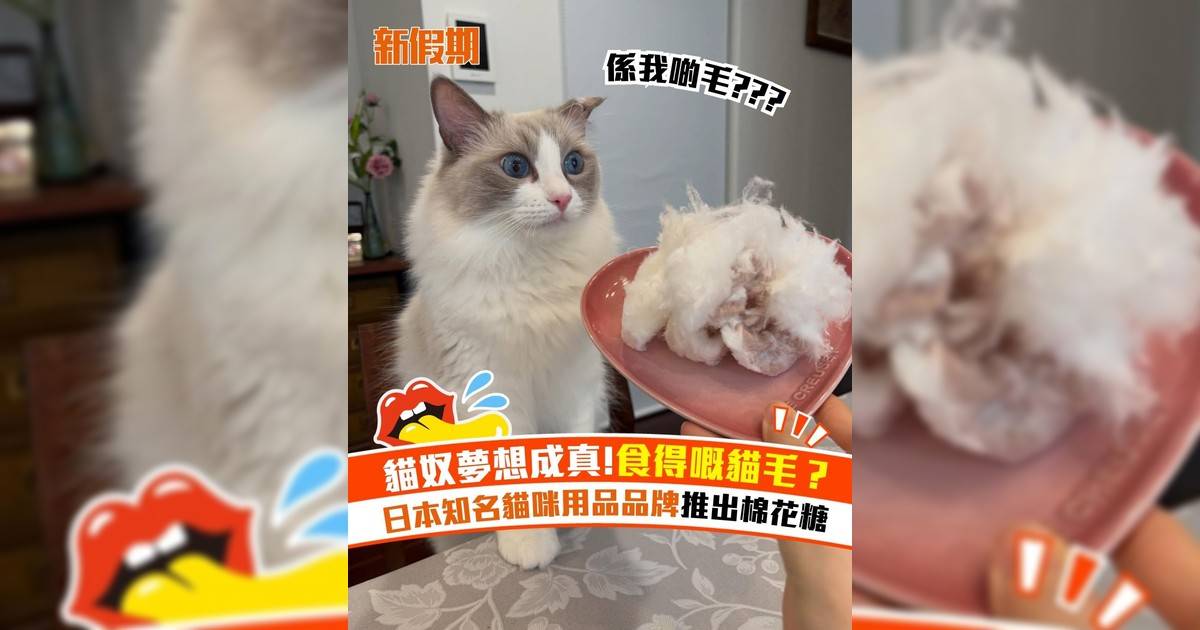 貓奴夢想成真!食得嘅貓毛？ 日本知名貓咪用品品牌推出棉花糖