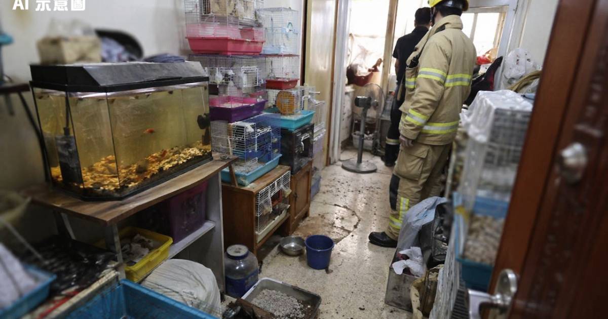 大圍單位傳惡臭鄰居報案 消防破門驚見滿屋動物