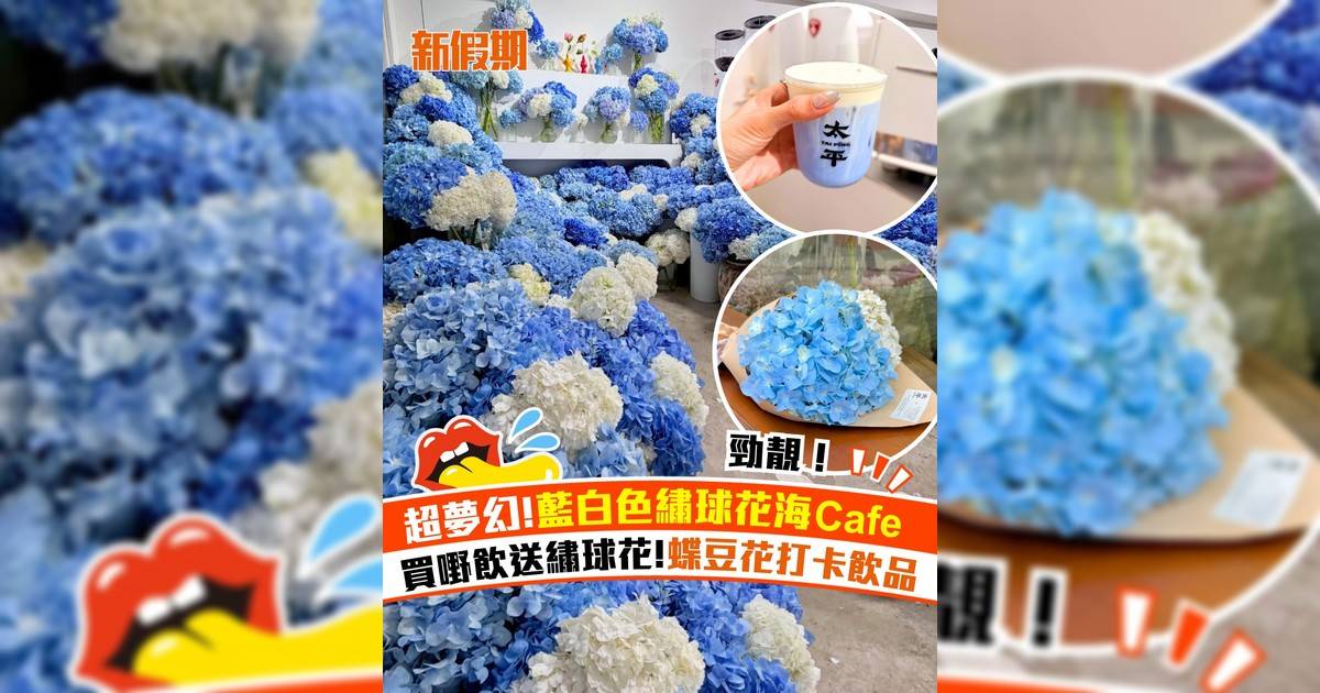 超夢幻!藍白色繡球花海Cafe