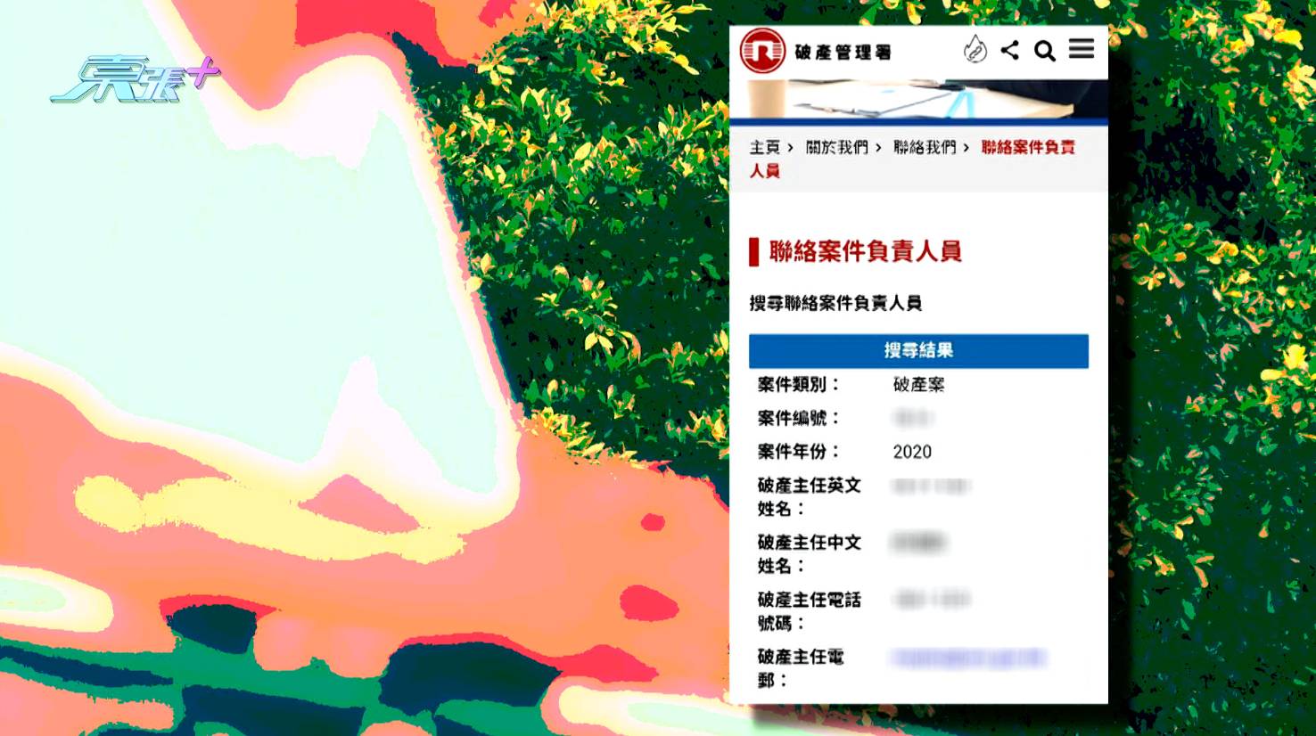 交友app 東張西望 陳先生他用S小姐身份證去查詢,發現原來她是破產人士。(圖片來源:TVB)