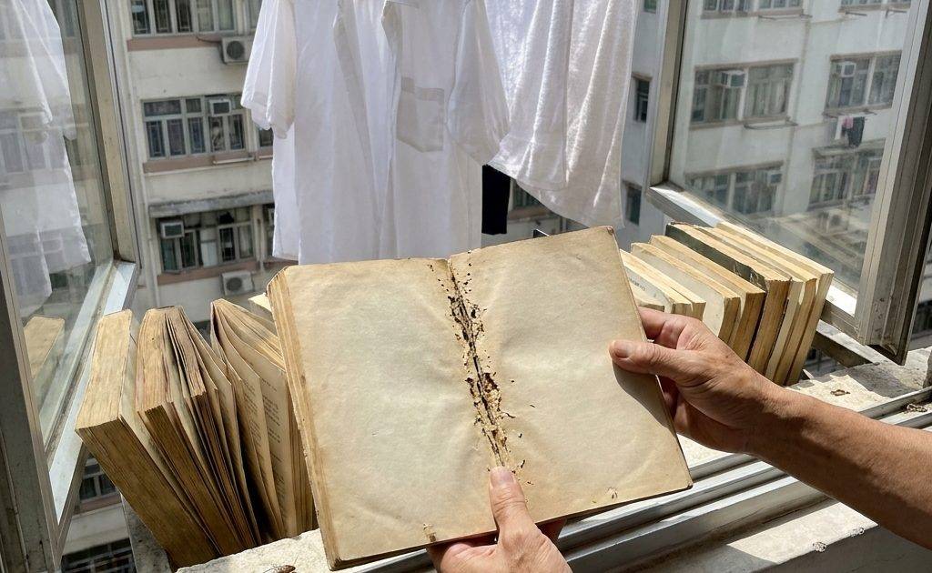衣魚卵清除方法｜只殺成蟲無用？書櫃衣櫃5大深層清潔法 杜絕書蟲滋生