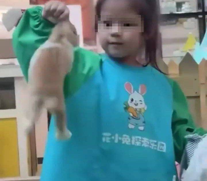 四川女童虐兔惹眾怒｜一手拎耳當「風車」狂轉 家長竟拍片分享 網民轟：品格徹底翻車