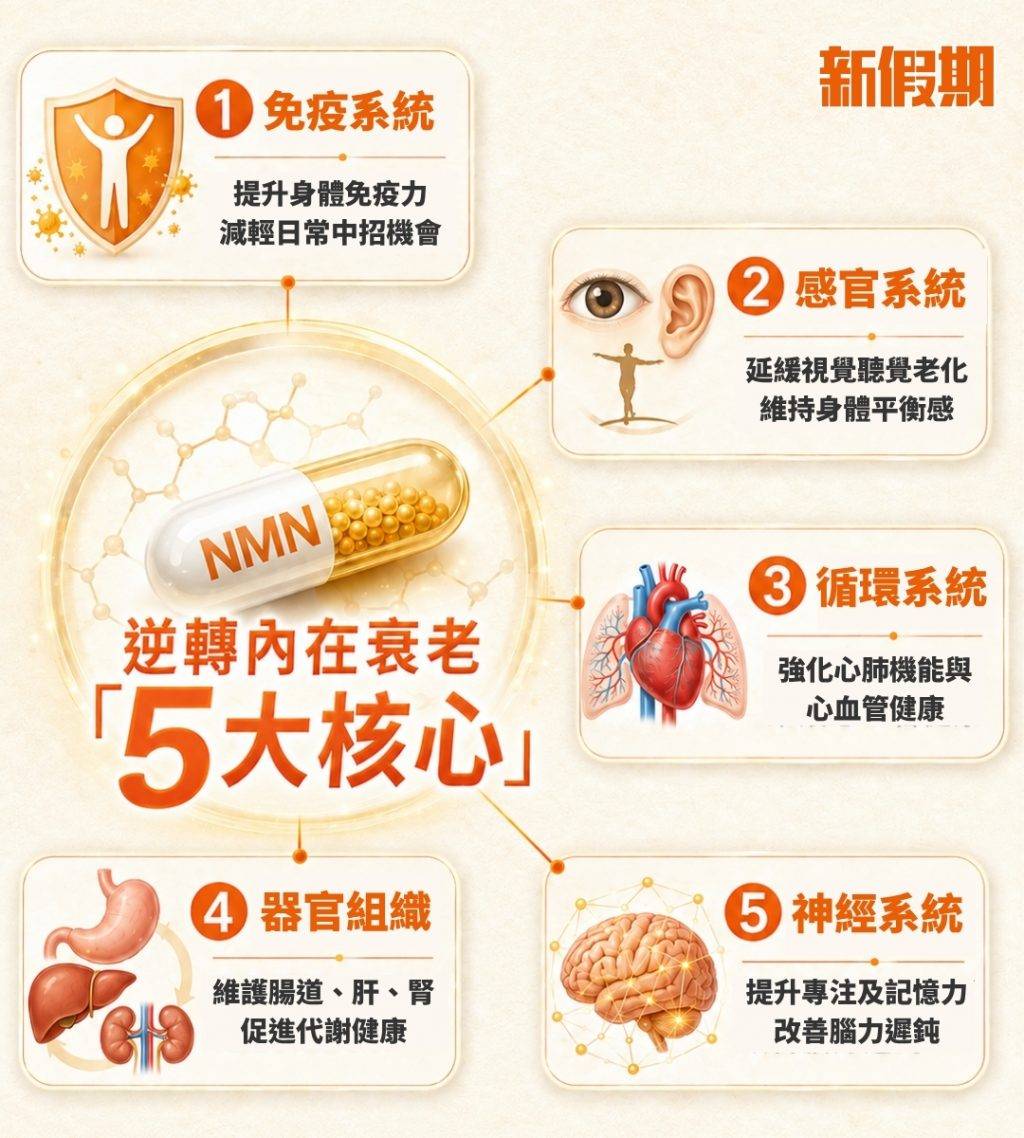 NMN NMN有助逆轉內在衰老,深度修復體內5大系統。(圖片來源:新假期設計)