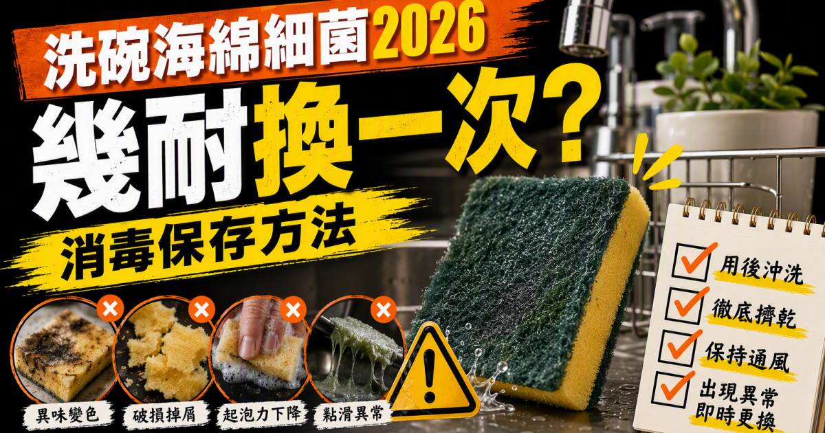 洗碗海綿細菌2026｜幾耐換一次？消毒保存方法