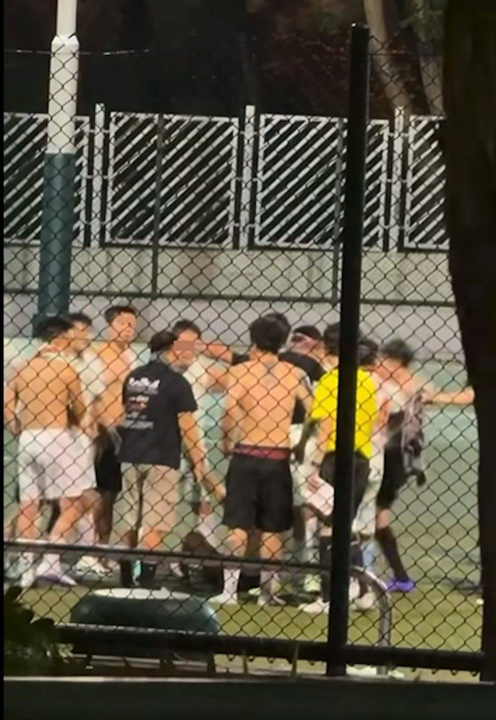 摩士公園 球場打鬥 (圖片來源:討論區影片截圖)