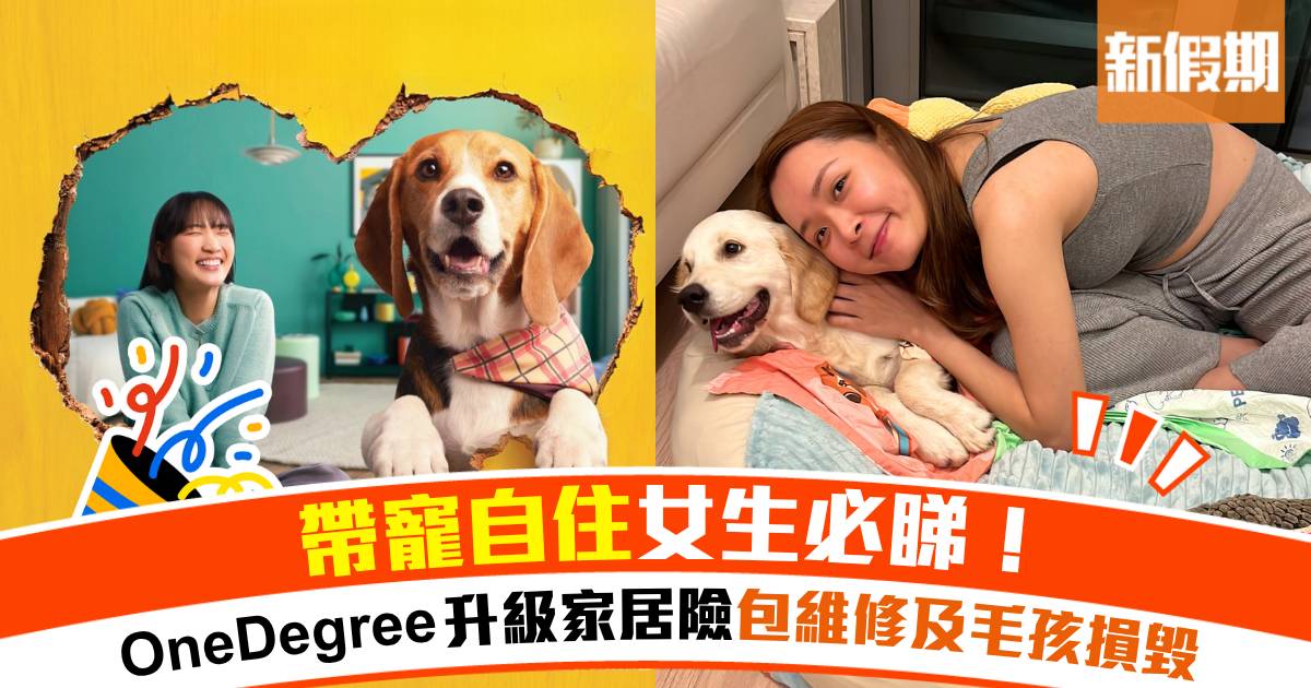 帶寵自住女生必睇！OneDegree 升級家居險包維修及毛孩損毀