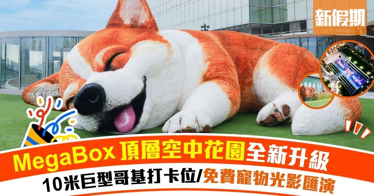 放假好去處！九龍灣逾3萬呎空中花園 必影10米巨型哥基