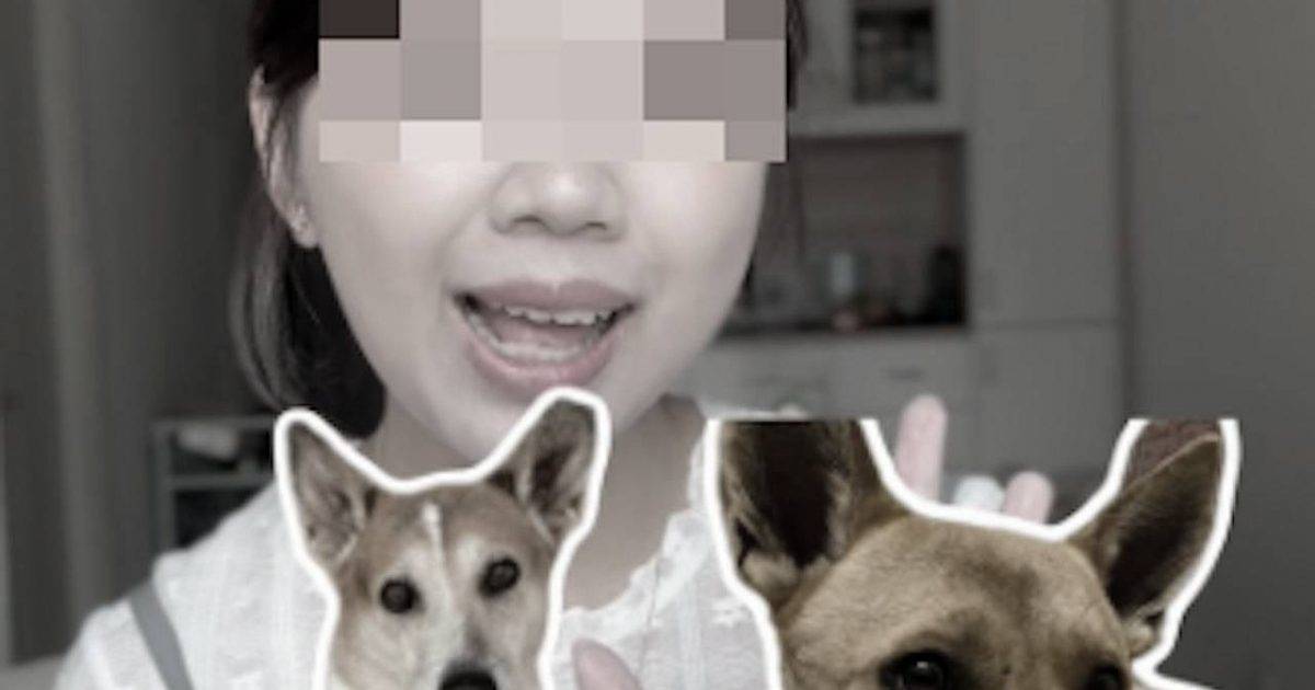 33歲狗宿女負責人慘遭群犬咬斃 生前最後帖文曝光揭露心酸內情