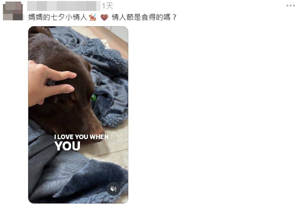 打鼓嶺奪命意外 狗酒店慘劇 死者最後一篇帖文是本周三(19日),分享與拉布拉多愛犬共度七夕。(圖片來源:Threads 截圖)