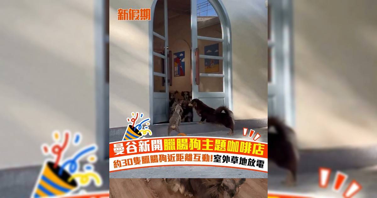 曼谷新開臘腸狗主題咖啡店 約30隻臘腸狗近距離互動!室外草地放電