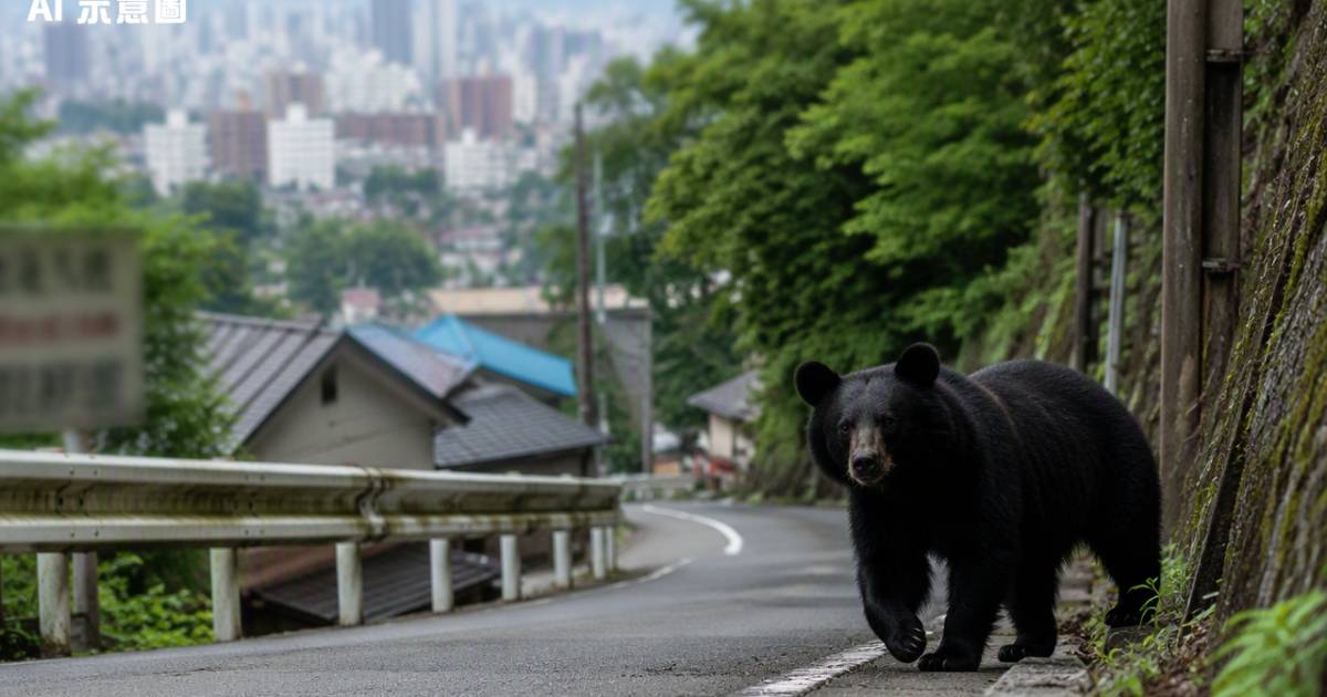 東京市郊猛獸逼近！目擊狂飆3倍迫使官方解20年禁令全因…