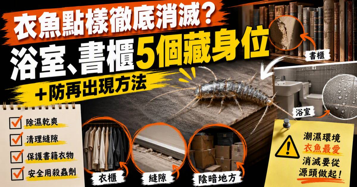 衣魚點樣徹底消滅？浴室書櫃5個藏身位＋防再出現方法