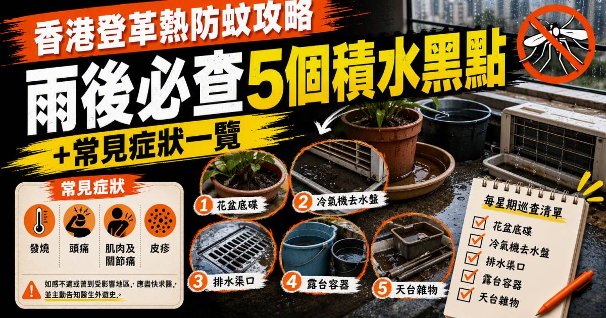 香港登革熱防蚊攻略｜雨後必查5個積水黑點＋常見症狀一覽