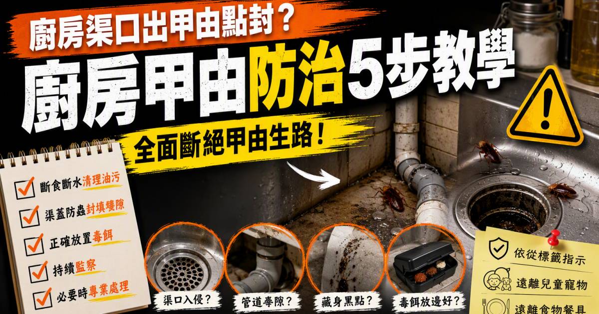 廚房渠口出曱甴點封？廚房曱甴防治5步教學與毒餌安全須知