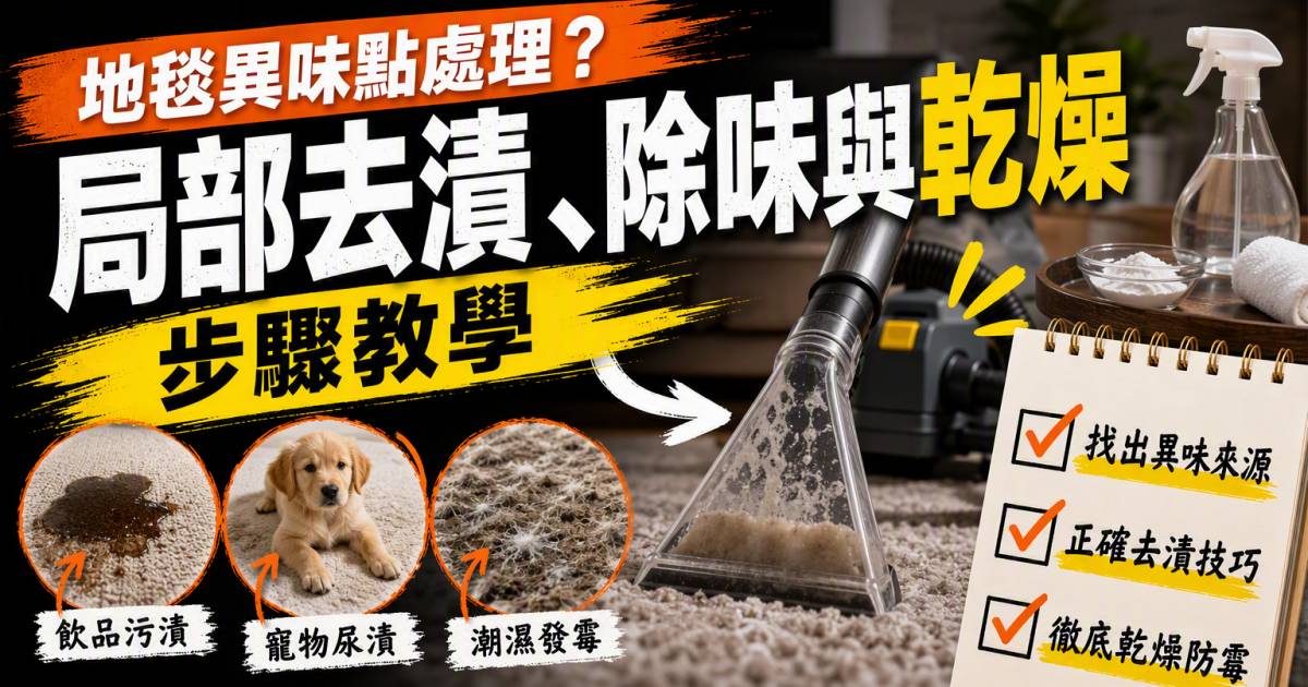 地毯異味點處理？局部去漬除味與乾燥步驟教學