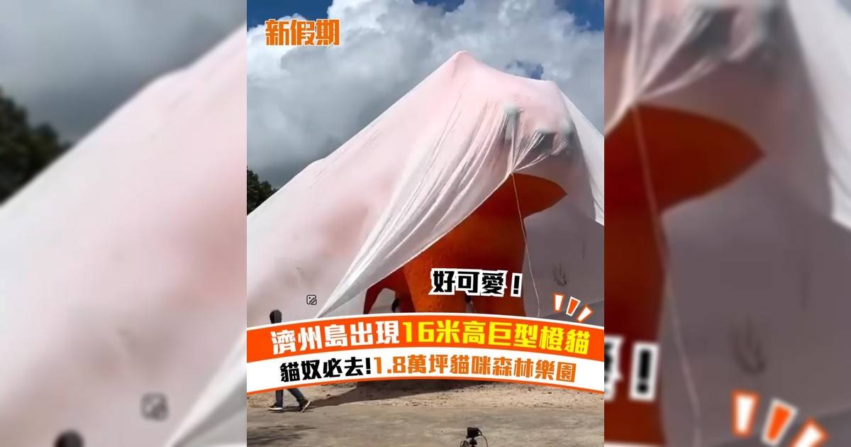 濟州島出現16米高巨型橙貓！貓奴必去!1.8萬坪貓咪森林樂園