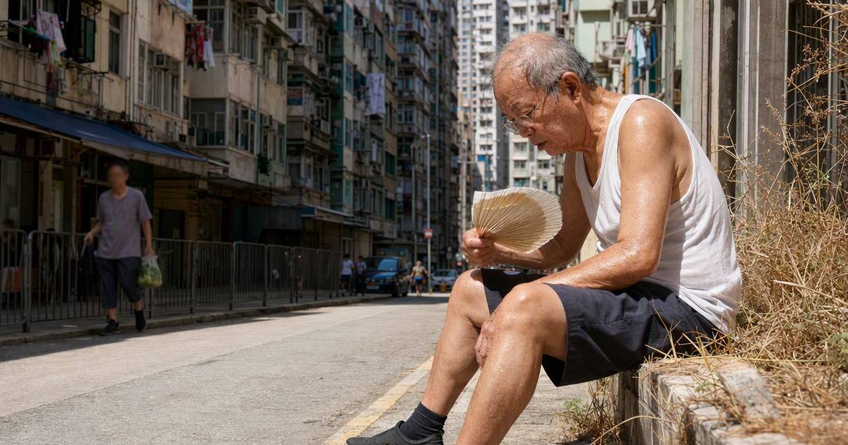 全港近4成長者陷酷熱風險　4區背後更驚人