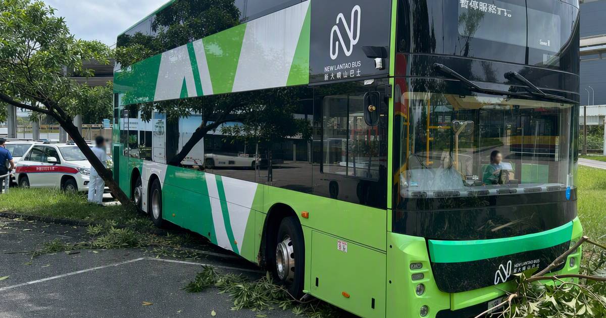 深圳灣口岸嶼巴撞樹　玻璃爆裂結局反轉