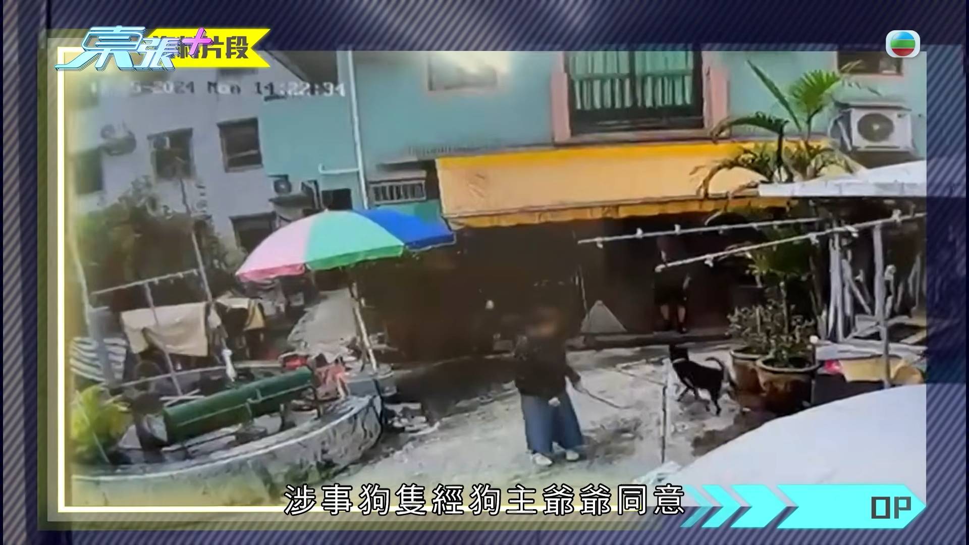 東張西望 惡犬傷人 兩年前楊小姐在家門外遭鄰居的惡犬突然發狂狂咬,手腳均受傷,其中拇指傷勢極嚴重要縫 6 針。(圖片來源:TVB)