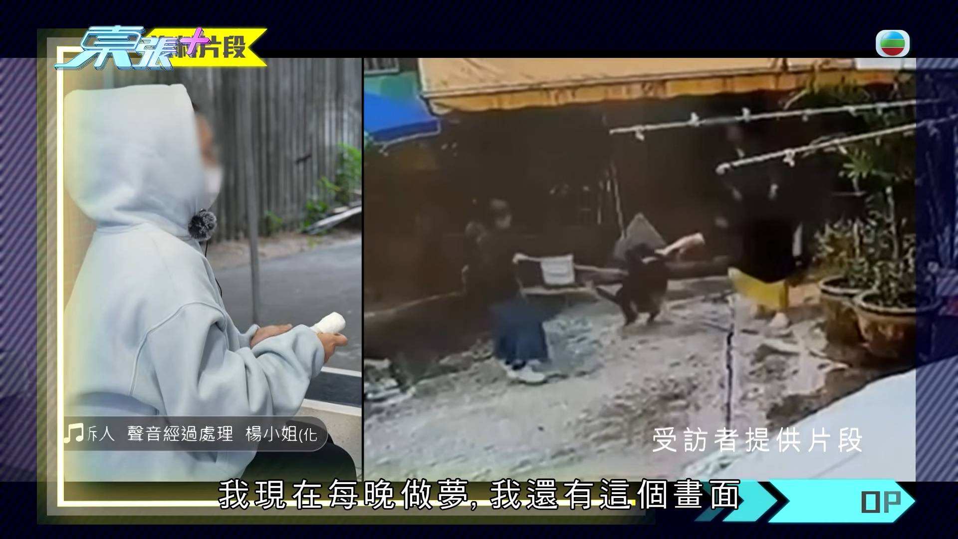 東張西望 惡犬傷人 大狗咬實事主並狂扯。(圖片來源:TVB)