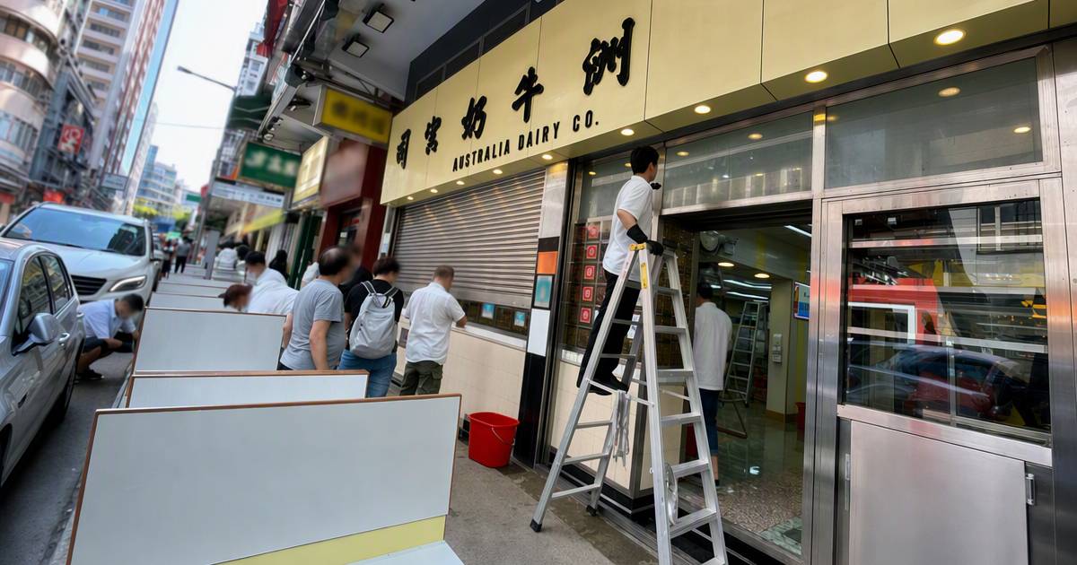 澳牛休息日卡位搬晒出街　真相意外洗版