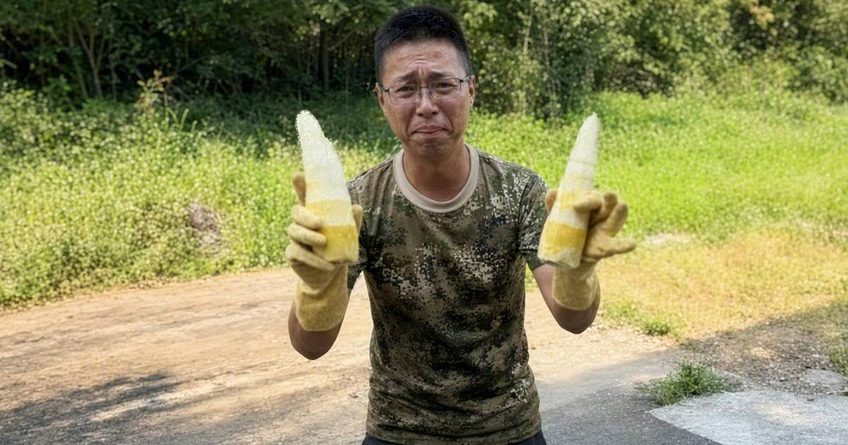 廣東竹筍一夜變白　網紅揭驚人24倍黑幕