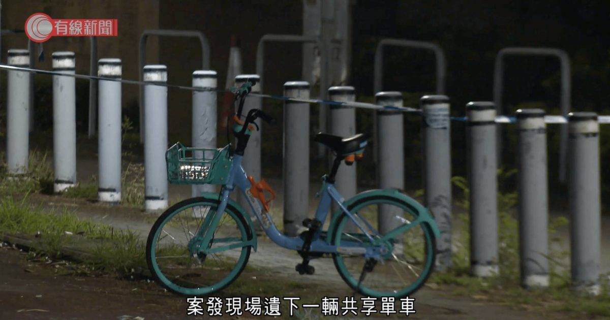 元朗27歲單車女疑被3狗咬斃 被狗追1行為反刺激捕獵本能 訓犬師教護頭頸動作保命