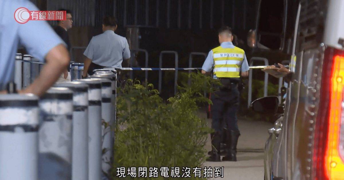 元朗27歲女踩單車回家被3狗咬斃 近50分鐘CCTV畫面成關鍵 警交代最新案情