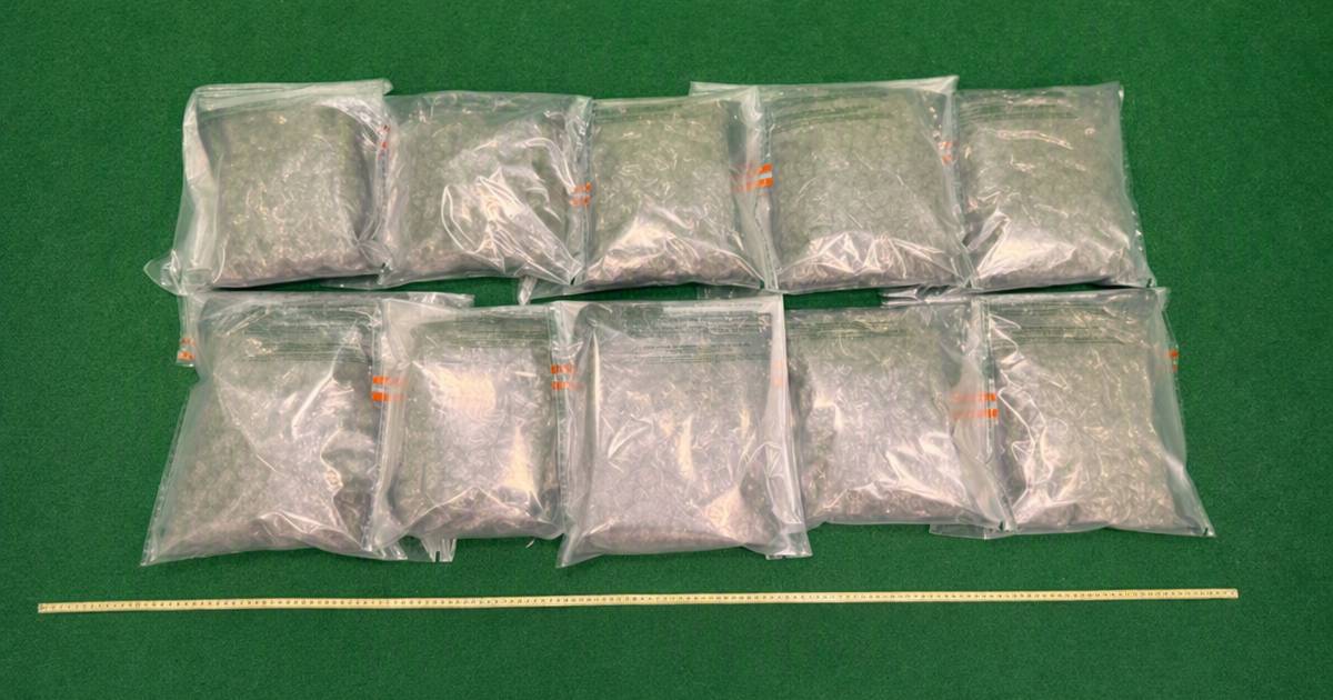 20歲男行李藏5公斤大麻花　清關一刻出事