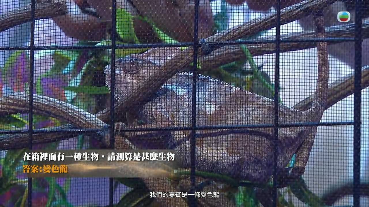 玄戰 john (圖片來源:TVB)