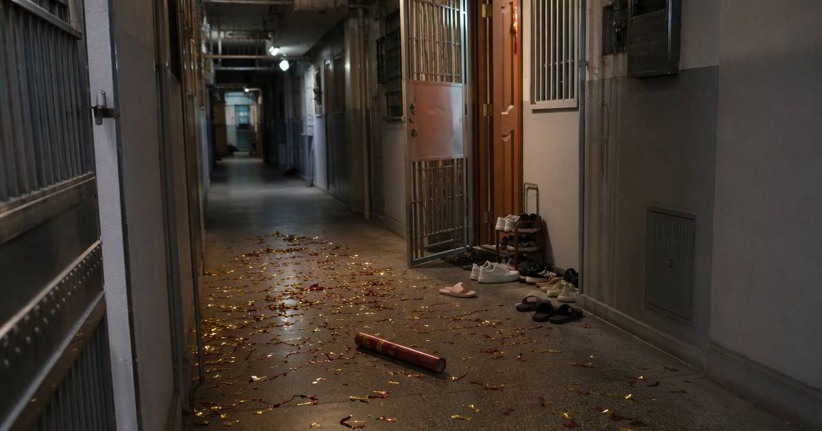 葵盛東邨新戶放禮炮嚇親貓咪　滿地碎屑恐惹一後果