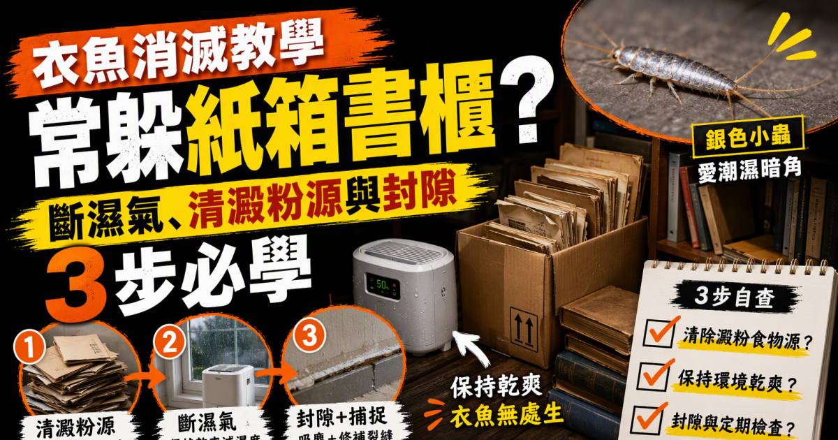 衣魚消滅教學｜常躲紙箱書櫃？斷濕氣清澱粉源與封隙3步必學