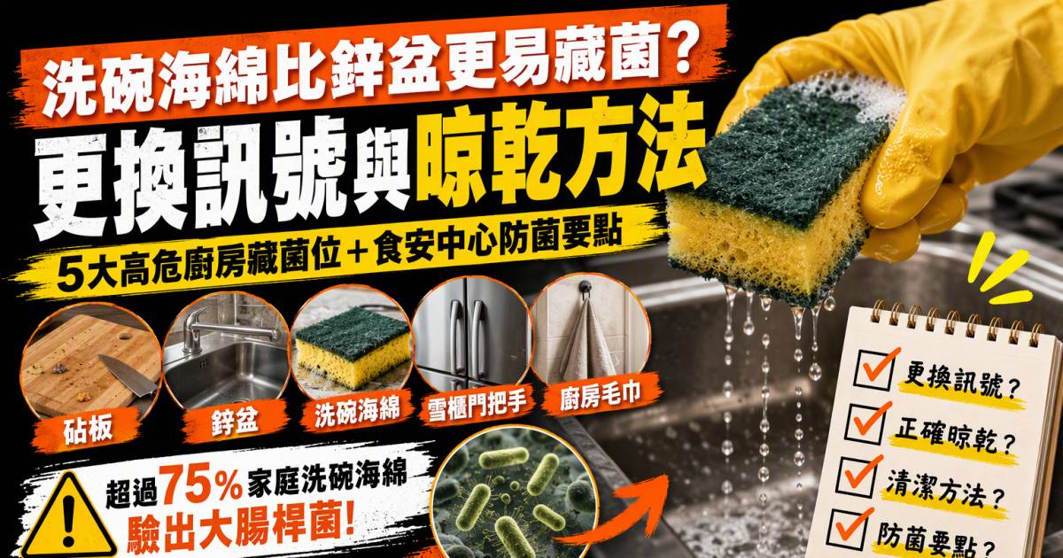 洗碗海綿比鋅盆更易藏菌？更換訊號與晾乾方法